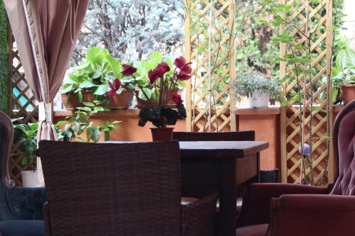 Hostal Gran Terrazza