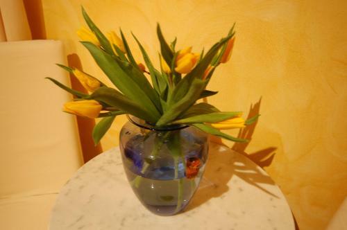 Anfiteatro B&B
