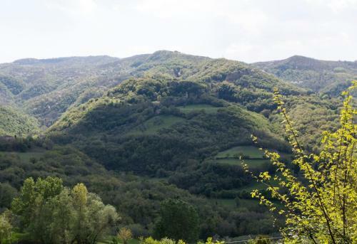 Bed & Breakfast Il Mugello