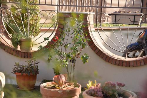 B&B Le Cycas