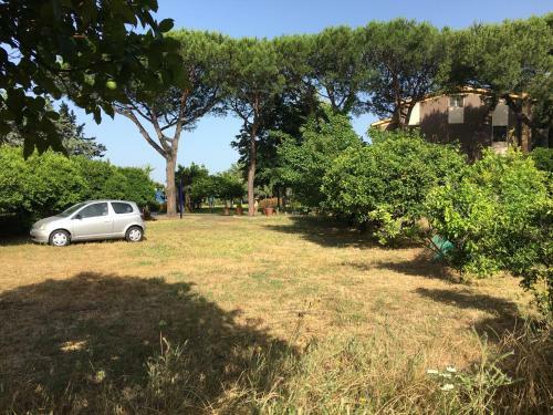 Bed & Breakfast Villa Viuli
