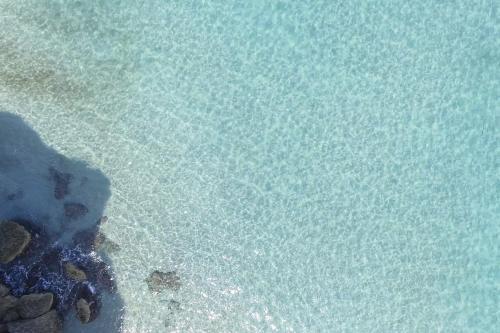 Cottage In Torre Dell'orso With Garden M198