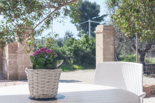 Apartamento Appartamenti Mare Azzurro