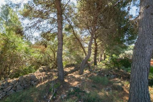 Apartamento Villa Ilios