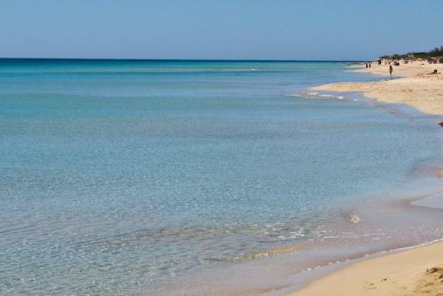 Apartamento Monolocale Spiaggia Maldive Del Salento M605