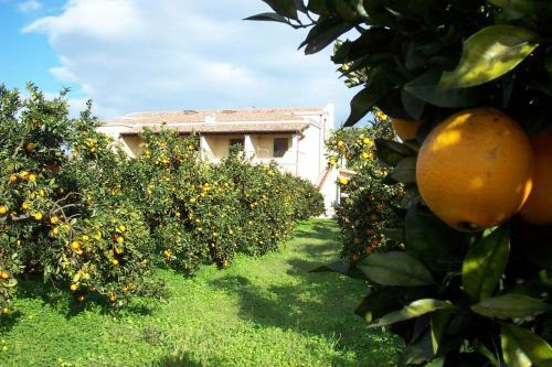 Agroturismo Agriturismo Su Canonigu