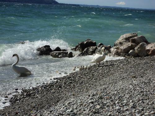 Bed & Breakfast Giardini Di Corte