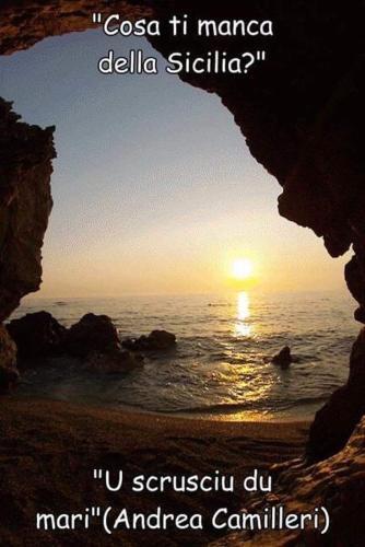 Apartamento Casa Nin�
