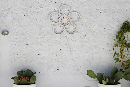 Bed & Breakfast La Mitria
