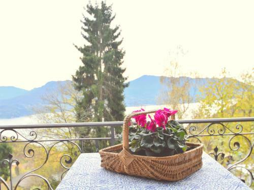 Apartamento Casa Margherita A Trarego