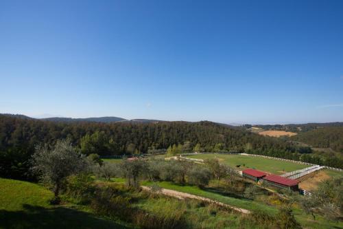 Villa Elisabetta