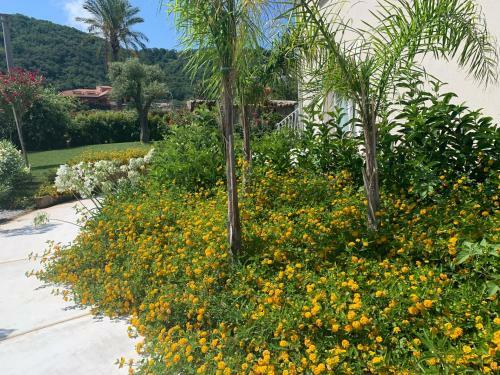Hotel Il Borghetto Creative Resort