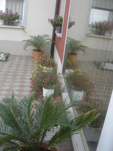 Bed & Breakfast Al Fari - Pensione.