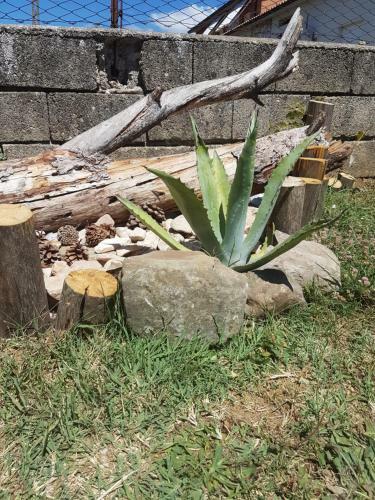Apartamento Emanuela
