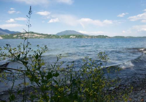 Stresa Apartment - 14533