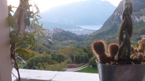 Apartment Ville Del Monte/gardasee 34463