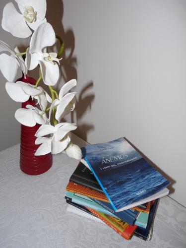 �nemos B&B