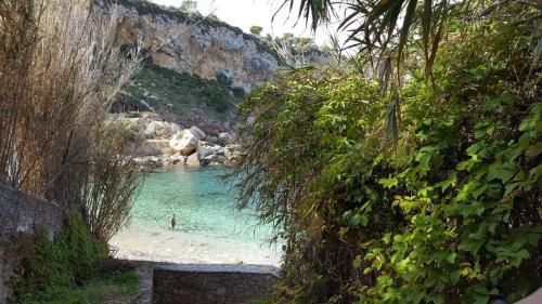 Zabb�ra B&B