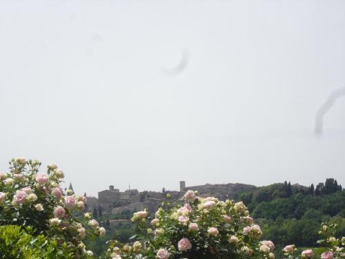 Agroturismo Agriturismo Borgo Montecucco