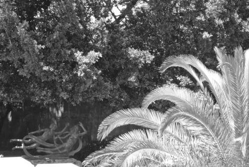 Dame'