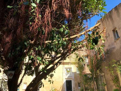 Apartamento Residence Ortigia
