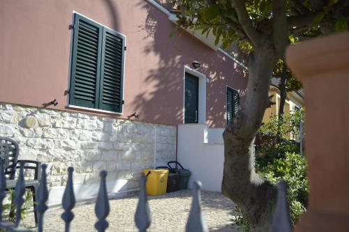 Vigne Apartament