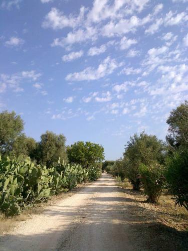 Masseria Asciano