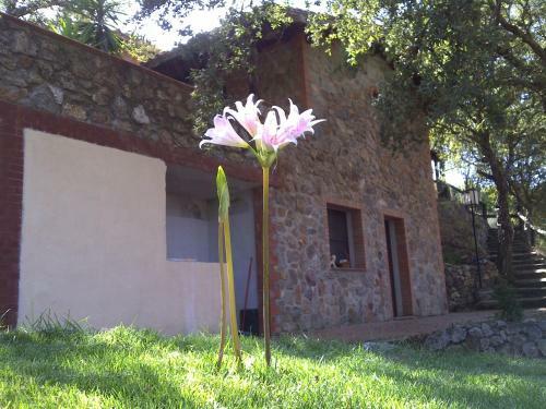 Agriturismo La Quercia