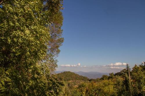 Apartamento Naturstein Chalet Castagna