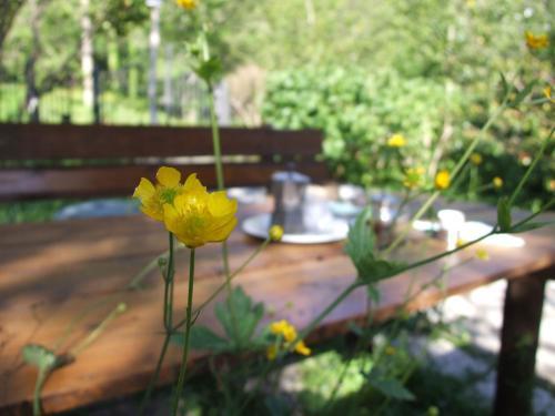 Apartamento Villa Agrifogli
