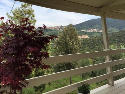 Glamping Vedetta Lodge
