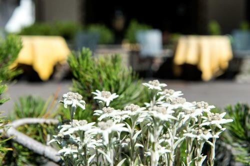 Hotel La Truga