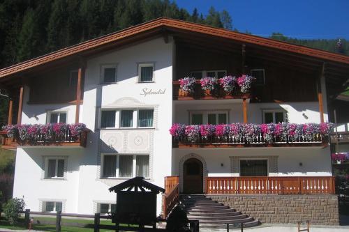 Apartments Splendid