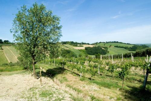 Hotel Country House La Madonnina