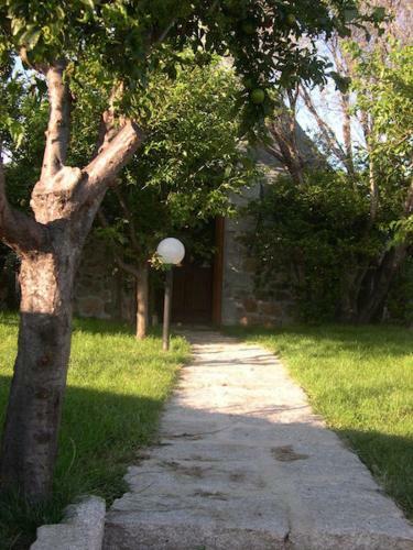 Villa B&B Pettirosso Garden