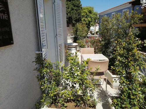 Hostal Marm� Affittacamere