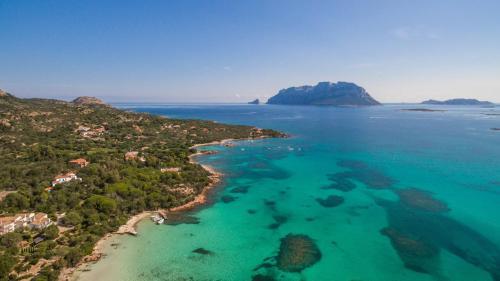 Apartamento Appartamento Degli Ulivi