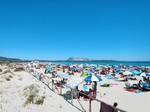 Case Coda Cavallo 420s