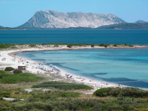 Apartamento Residence Gallura 260s