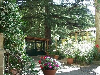 Hotel Salus