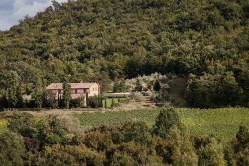 Sant'albino Villa Sleeps 14 Pool Air Con Wifi