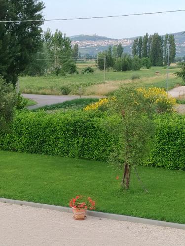 Agroturismo Il Sagrato Di Assisi