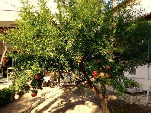 B&B Villa Maria Agrigento