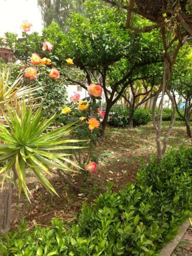 B&B Villa Maria Agrigento