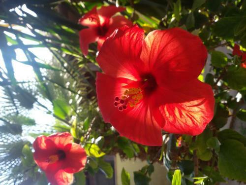 Apartamento Villa Solemare