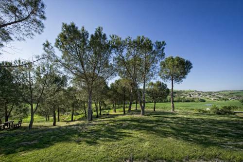 San Quirico D'orcia Apartment Sleeps 4 Pool Wifi