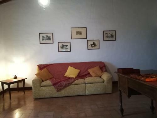 Agroturismo Agriturismo Il Riguardino
