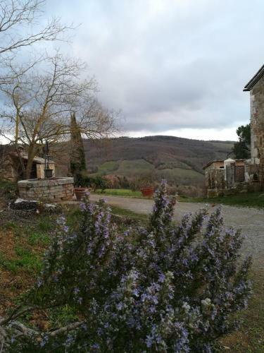 Agroturismo Agriturismo Il Riguardino