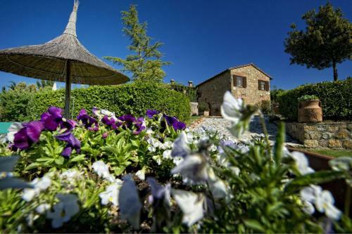 San Quirico D'orcia Apartment Sleeps 8 Pool Wifi