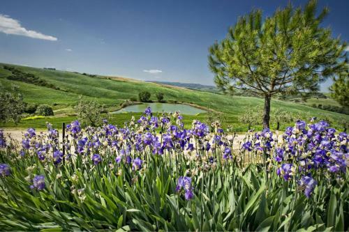 San Quirico D'orcia Apartment Sleeps 3 Pool Wifi